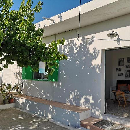Maison De Village Au Calme - Alonia Village House Psinthos Exterior photo