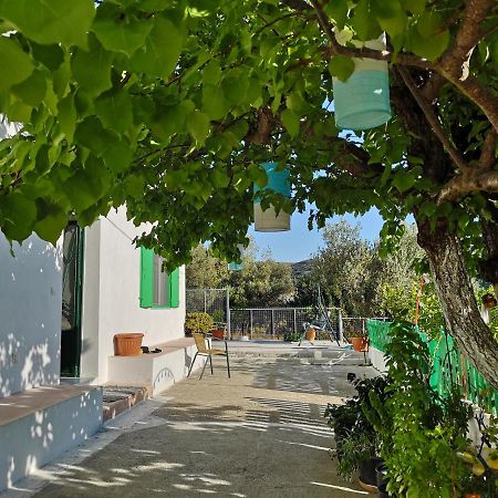 Maison De Village Au Calme - Alonia Village House Psinthos Exterior photo