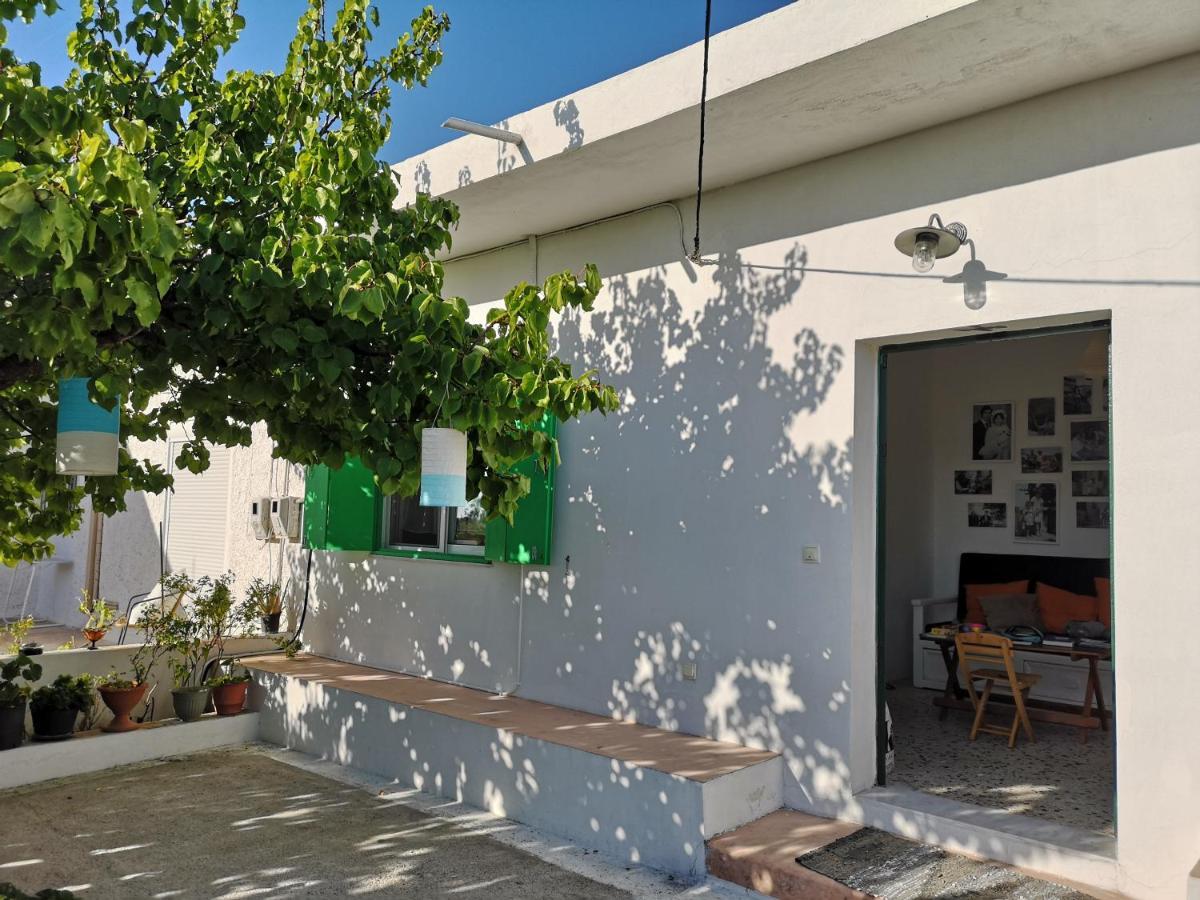 Maison De Village Au Calme - Alonia Village House Psinthos Exterior photo