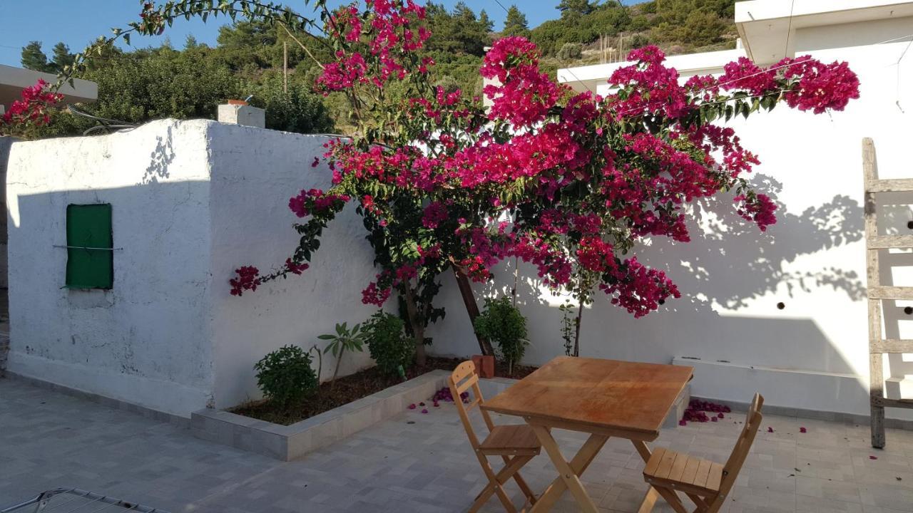 Maison De Village Au Calme - Alonia Village House Psinthos Exterior photo